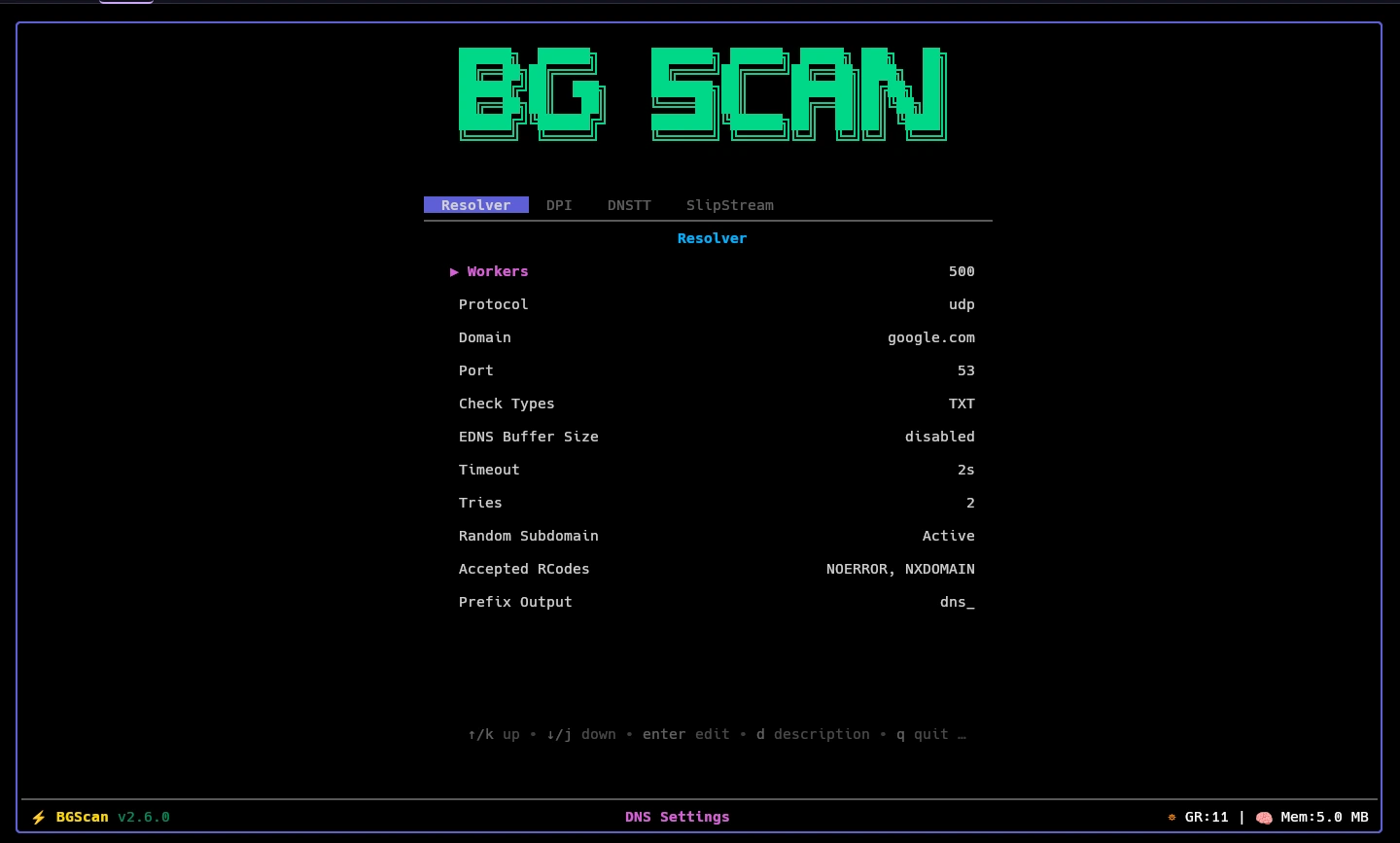 inspector dns settings